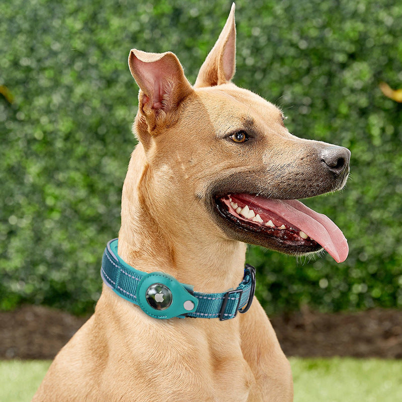 TrackMyBuddy™ Guardian Collar (Dog Edition) Ocean Blue