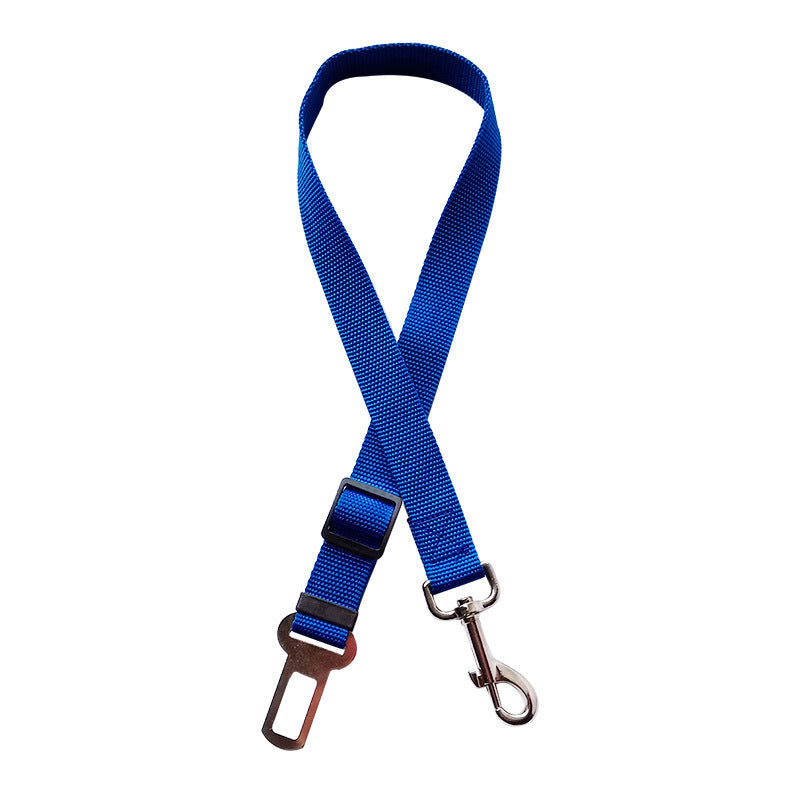 TrackMyBuddy™ SafeRide Leash Blue