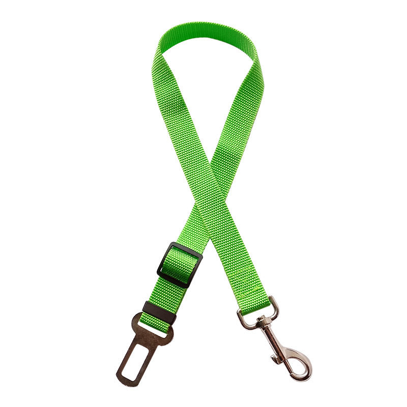 TrackMyBuddy™ SafeRide Leash Green