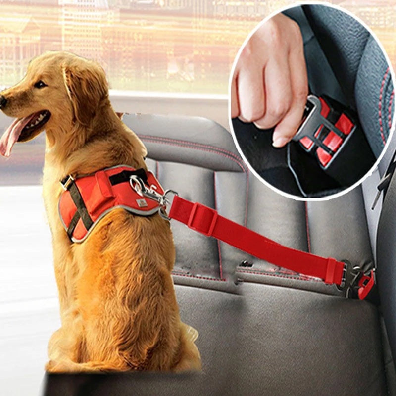 TrackMyBuddy™ SafeRide Leash Red