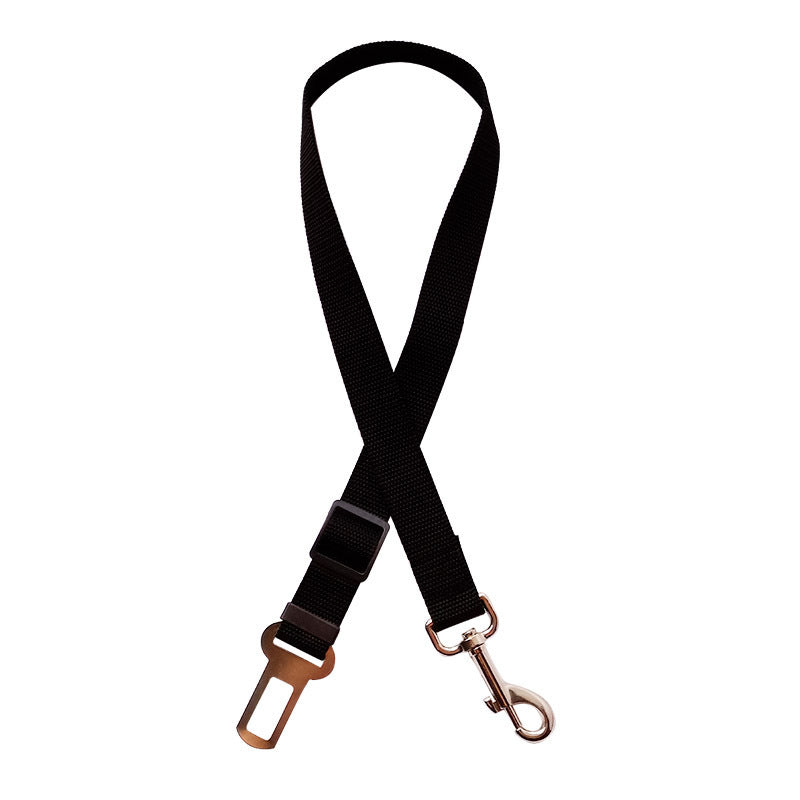 TrackMyBuddy™ SafeRide Leash Black