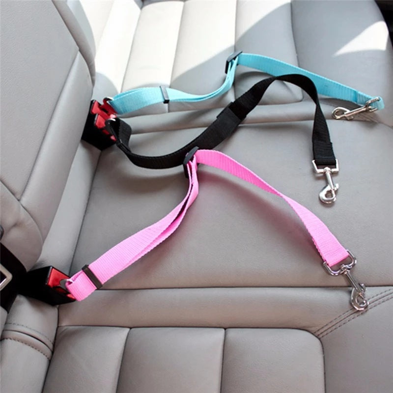 TrackMyBuddy™ SafeRide Leash Black