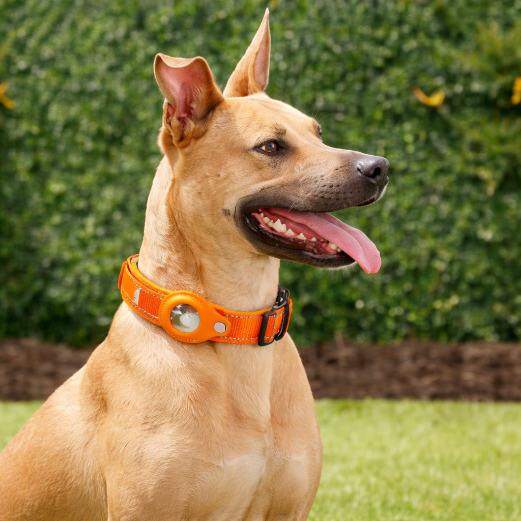TrackMyBuddy™ Guardian Collar (Dog Edition) Orange